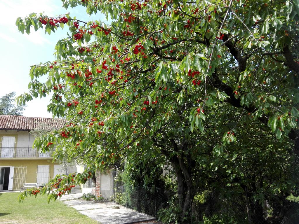 디아노 달바 Casa Badinot 게스트하우스 외부 사진